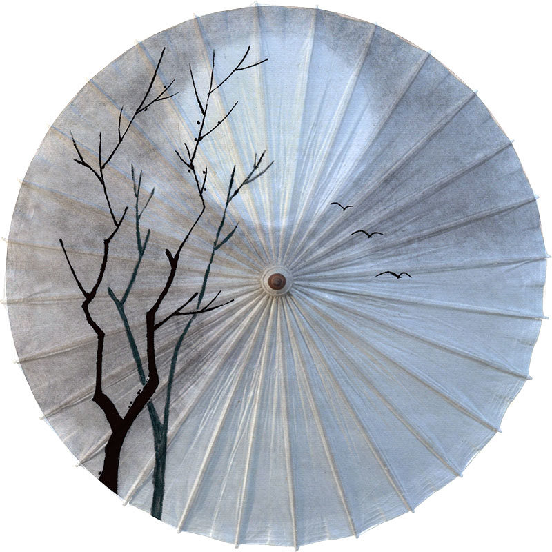 油纸伞 泸州桐香坊油纸伞 古典传统 防雨油纸伞 舞蹈礼品 蝶恋花