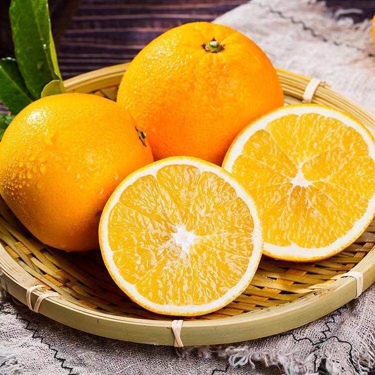 湖北整箱赣南血脐红伦现摘当季水果秭归新鲜橙