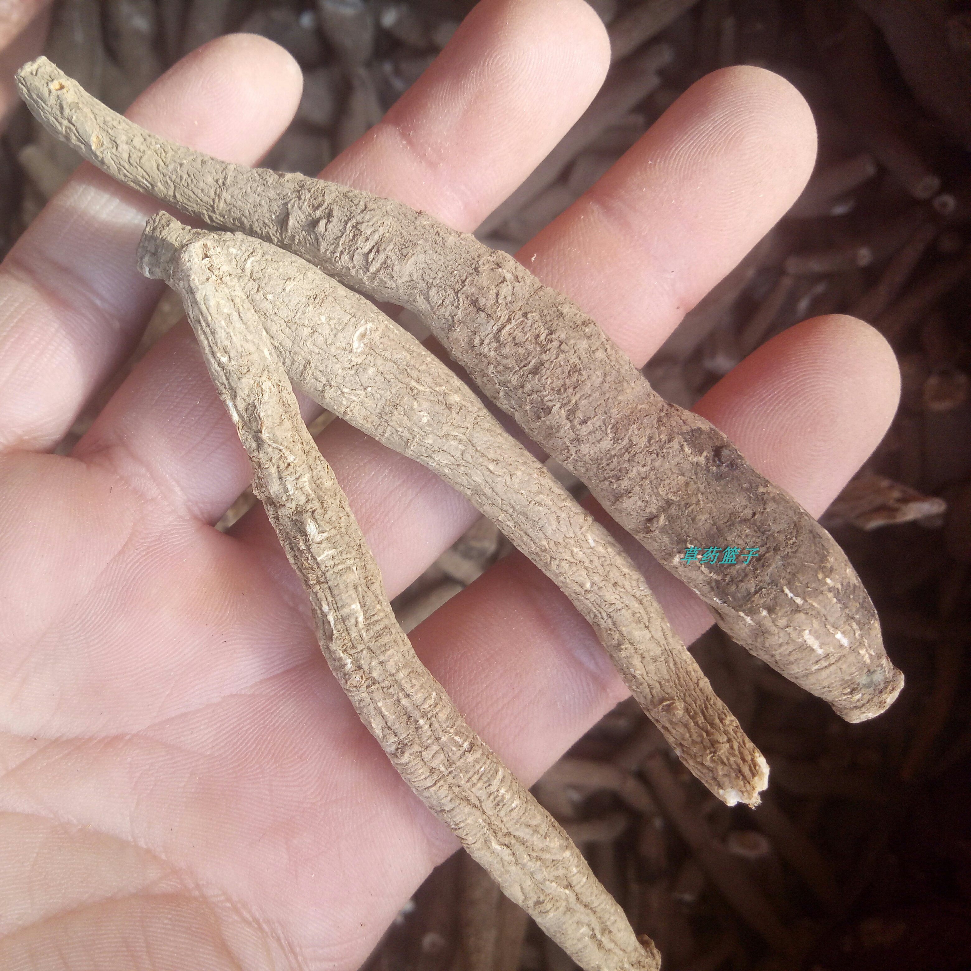 野生地雄根 木元梗 整个原根200克包邮可免费磨粉