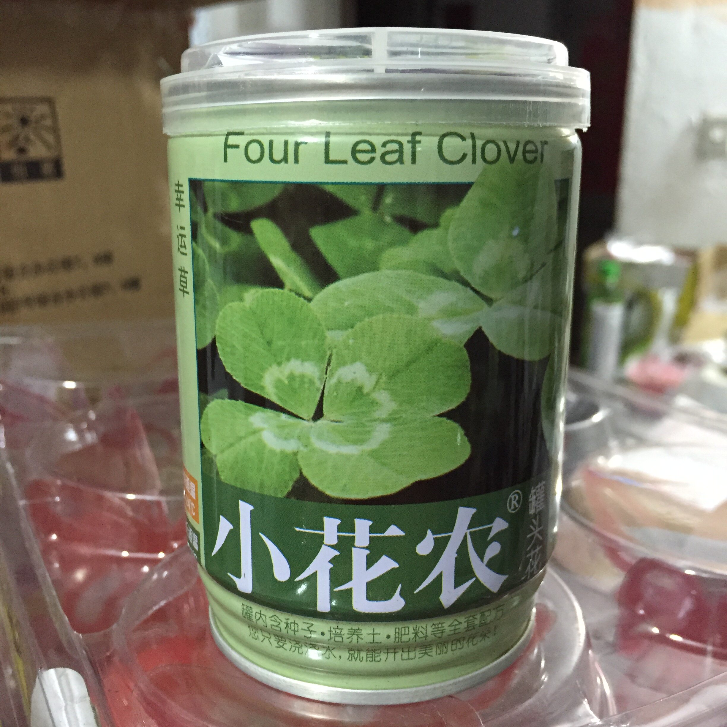 小花农罐头花儿童种植花卉办公室桌面创意盆栽diy迷你植物微景观