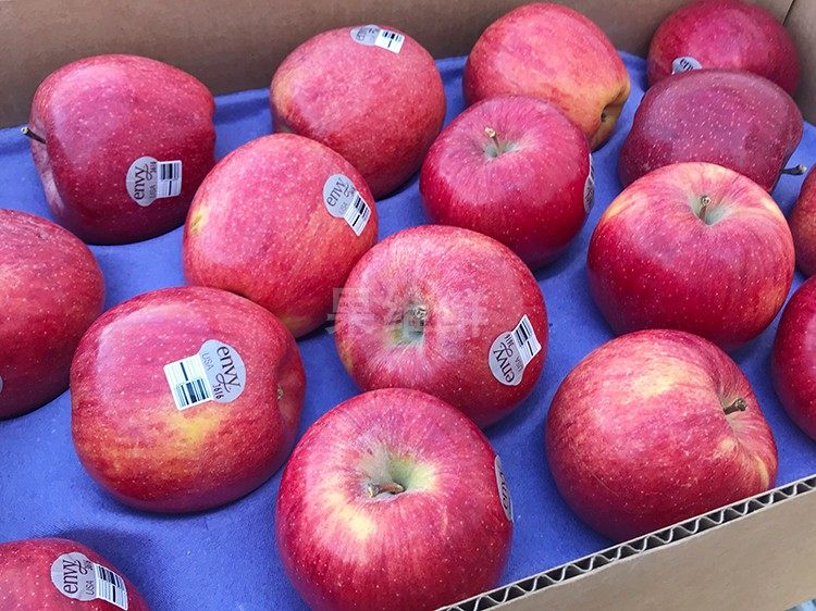 美国进口爱妃苹果 30-35颗/箱 envy苹果 3616 新鲜水果