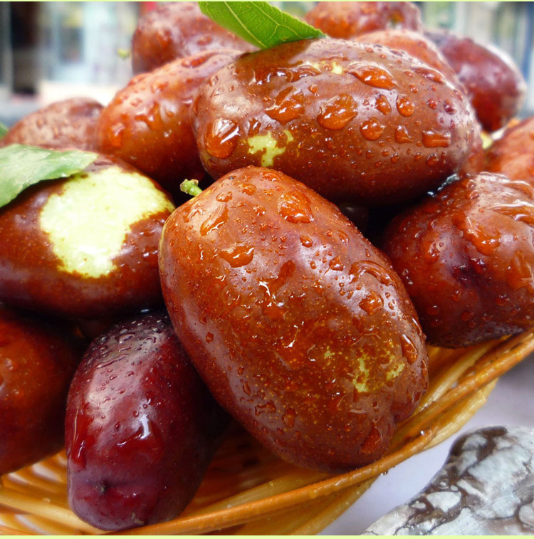 宁夏银川特产鲜枣灵武长枣脆枣甜红红枣新鲜枣