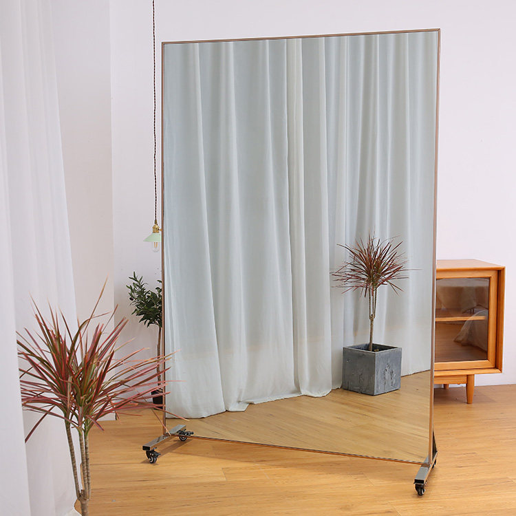 移动舞蹈镜带轮子刹车家用全身瑜伽镜抖音爆穿衣镜