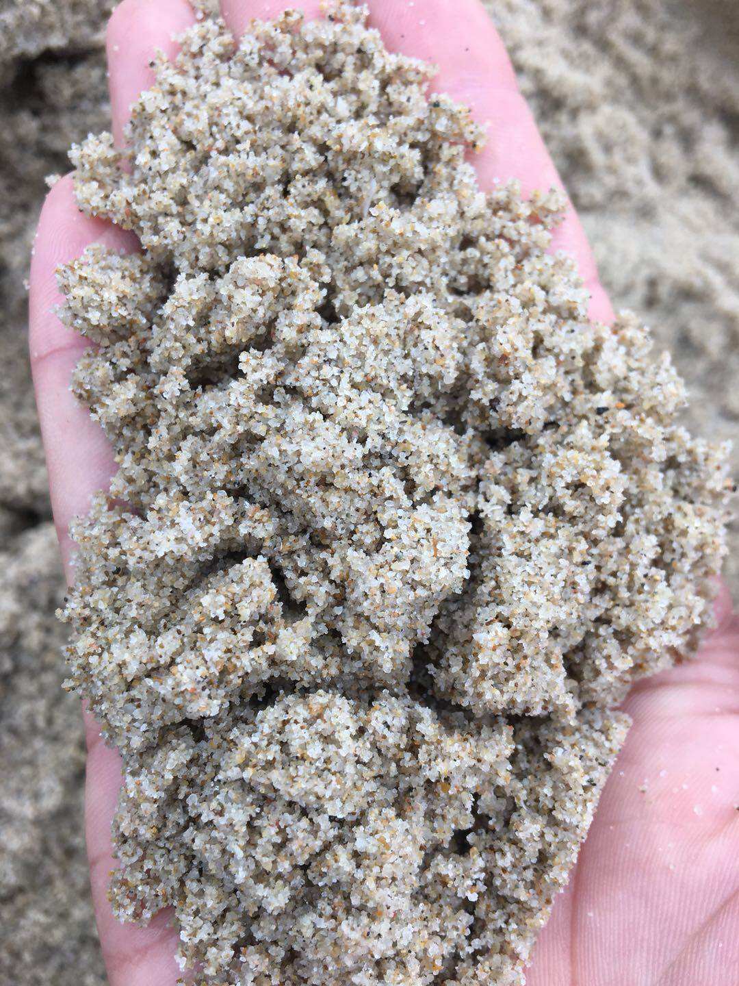 黄沙码头直销中沙散装装修辅材水泥曦运建材中沙