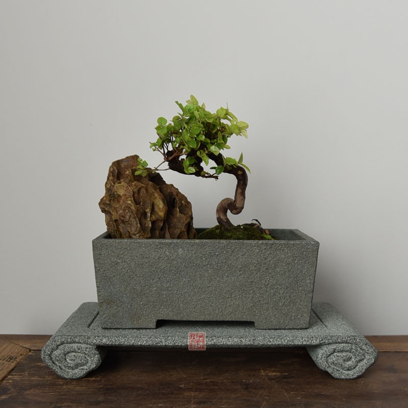 青石小花花盆吸水石盆天然石头菖蒲多肉仿古花盆