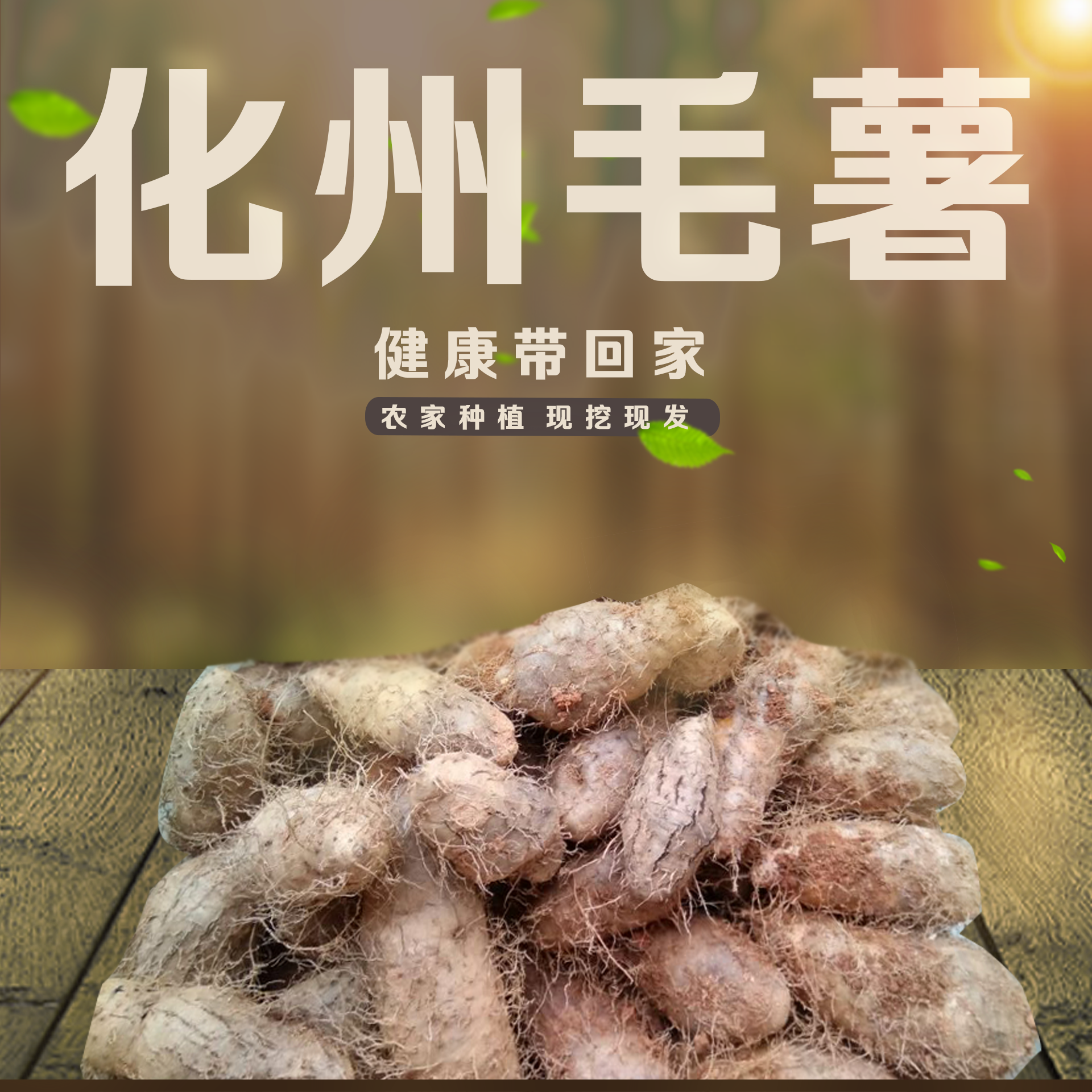 新鲜包邮杂粮农自种山药糯香薯粉毛薯甜姜薯粉虾米番薯