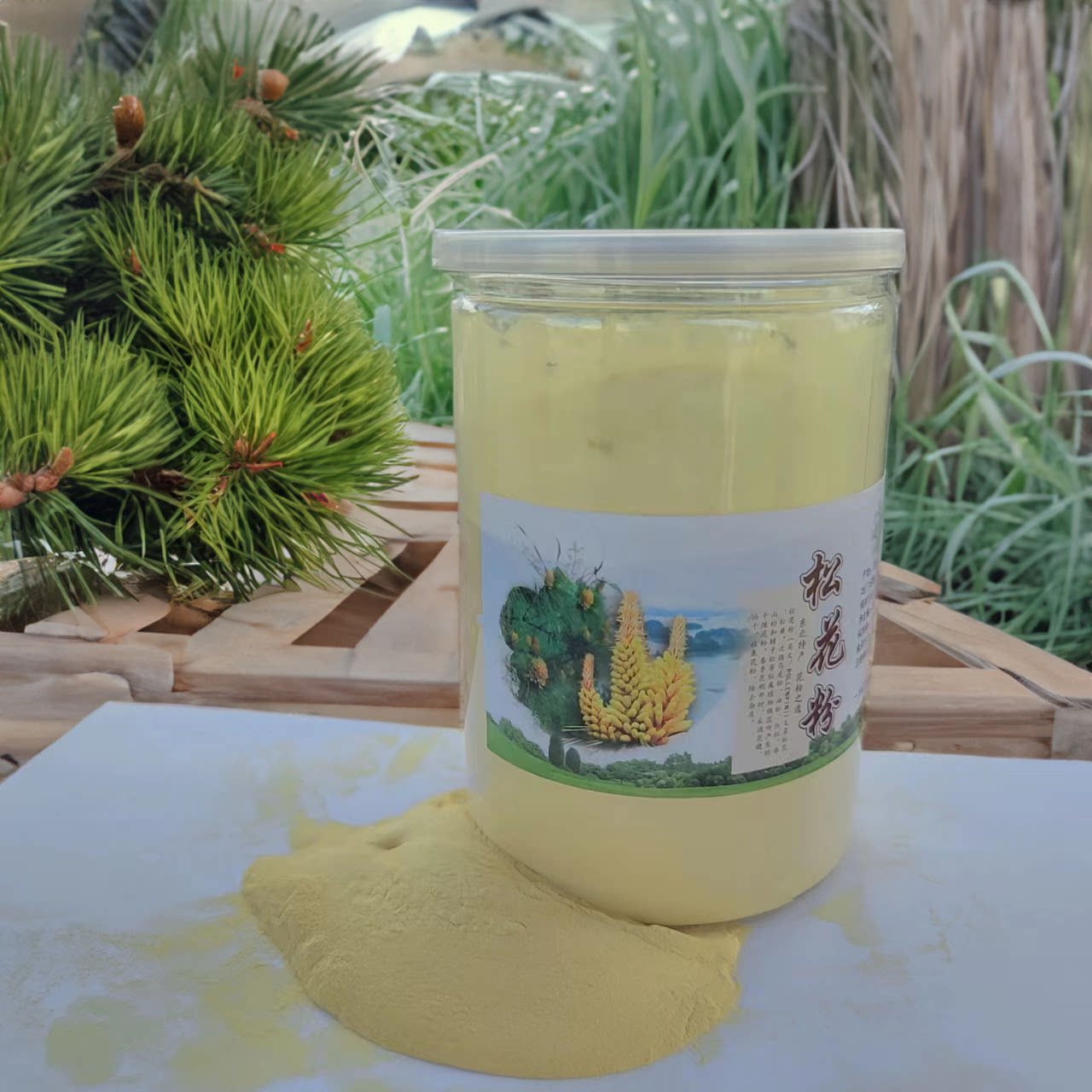 东北大兴安岭地区野生马尾马尾松松花粉250g罐装新货松花粉