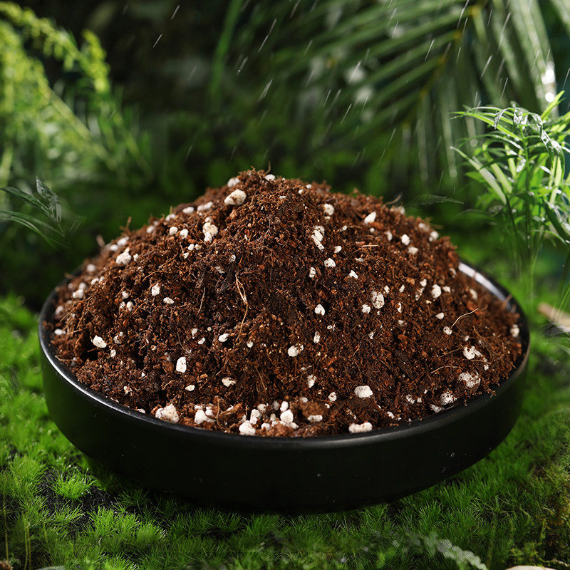 园艺通用型营养土泥泥炭花土有机肥基质椰糠种花介质
