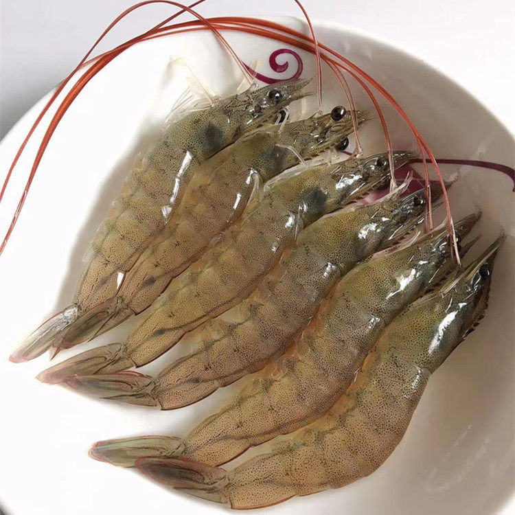 对虾冷冻白对虾水虾虾咸基围速冻海水鲜活新鲜活冻虾