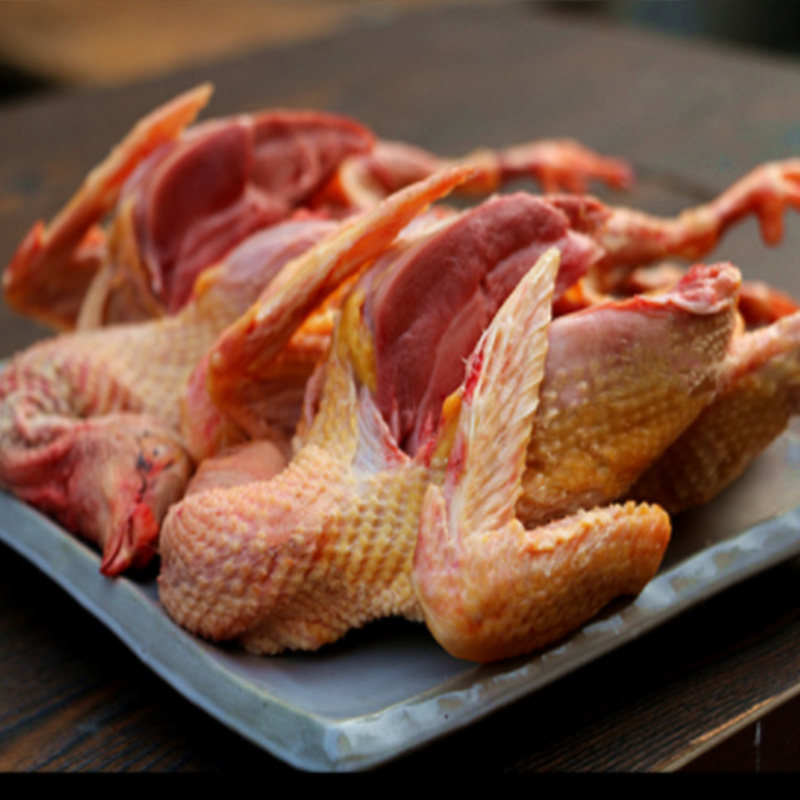 【优异家】新鲜鸽子老鸽子2只装