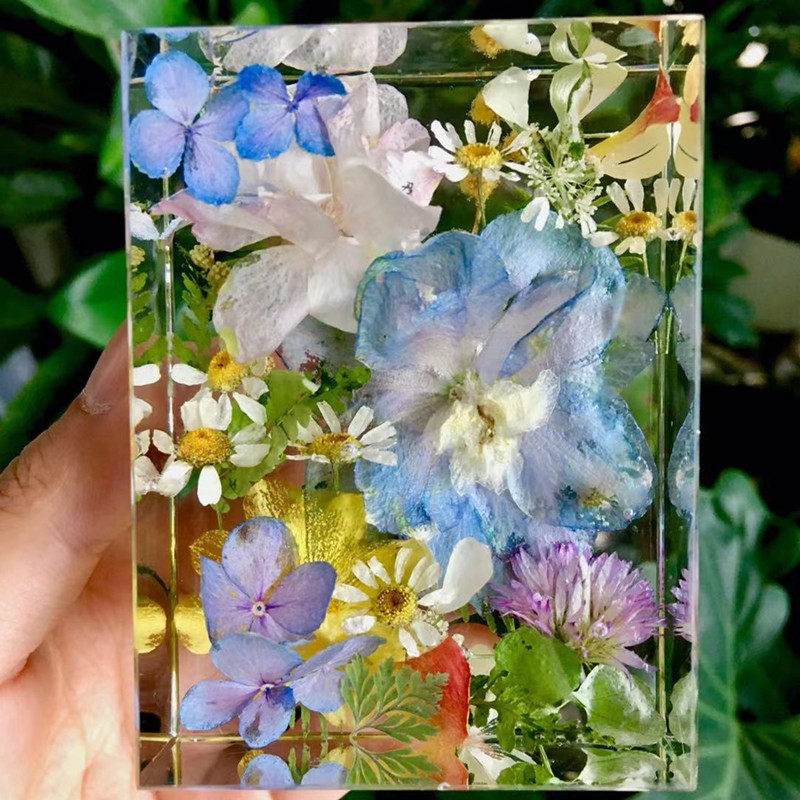 沫沫樱花植物标本本镇纸立方立方体树脂滴胶永生摆件