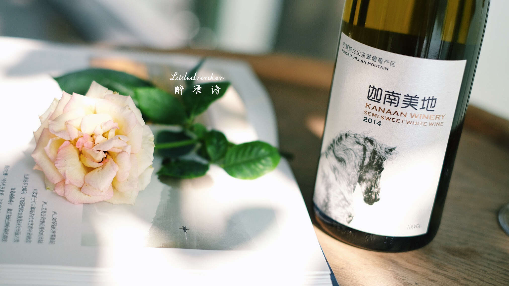 国产黑马 贺兰山精品迦南美地 半甜馥司令葡萄