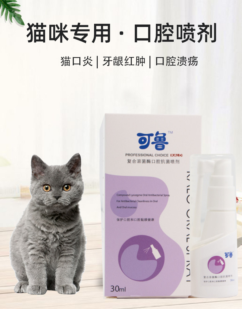 可鲁口腔喷剂口腔溃疡清洁牙龈口臭流口水猫口炎牙猫狗通用营养膏