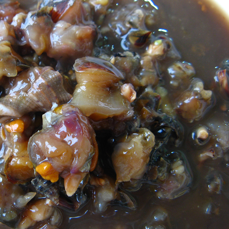 舟山嵊泗辣螺浆酱宁波特产大个个头黄螺浆海螺贝类制品