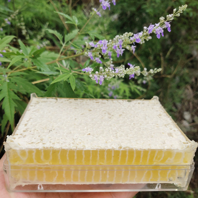 新鲜原生态天然蜂巢蜜500g成熟全封盖巢蜜农家土特产蜂蜜