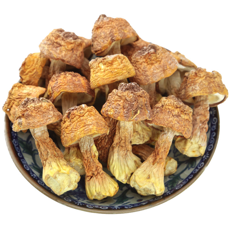 干货姬松云南特产巴西蘑菇精选250g香格里拉松茸姬松茸