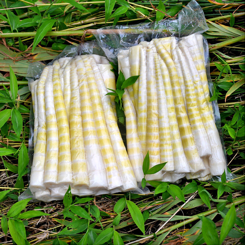 竹笋新鲜野生春笋四川火锅笋子清水罗汉笋嫩包装鲜笋