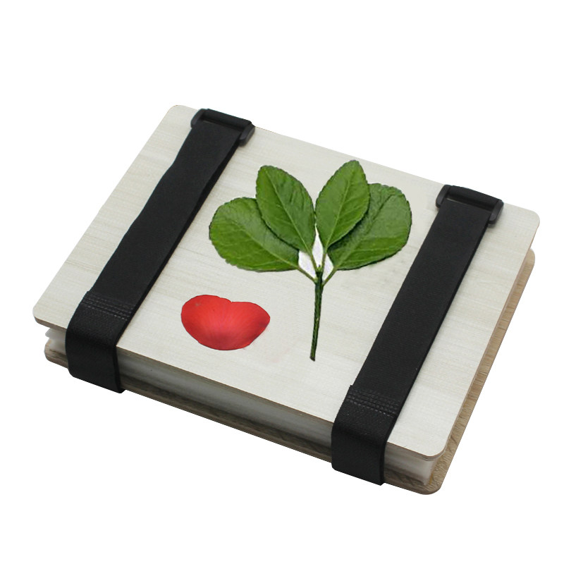 压花押花干燥板手手工diy自制干花材料植物干花