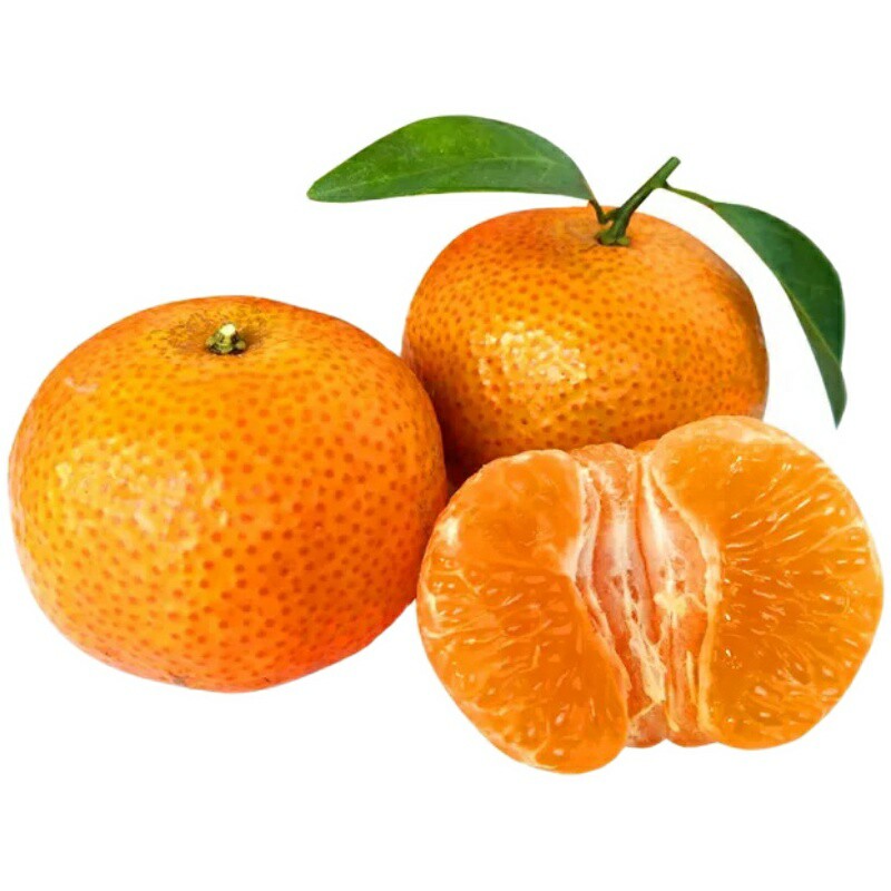 广西桂林永福砂糖橘应季新鲜水果5/10斤整箱沙糖桔薄皮超甜桔子