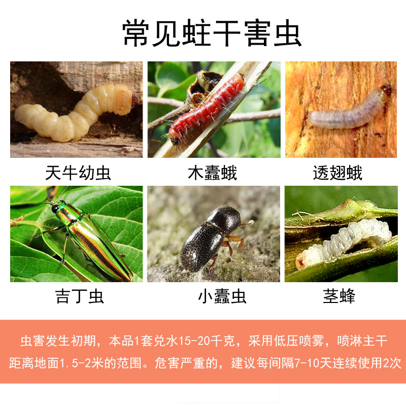 春牛虫蛀幼虫天牛丁虫害虫钻心虫套餐钻心穿透杀虫剂
