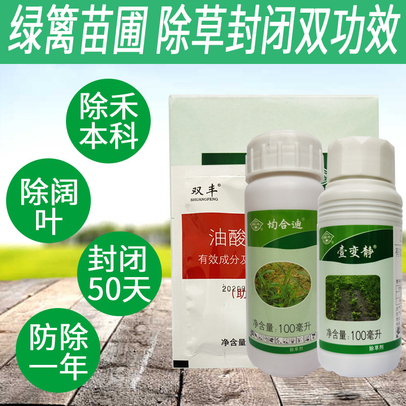 国光叶杂草除草杂草尖叶圆壹变草醚氧氟圃乙苗木除草剂