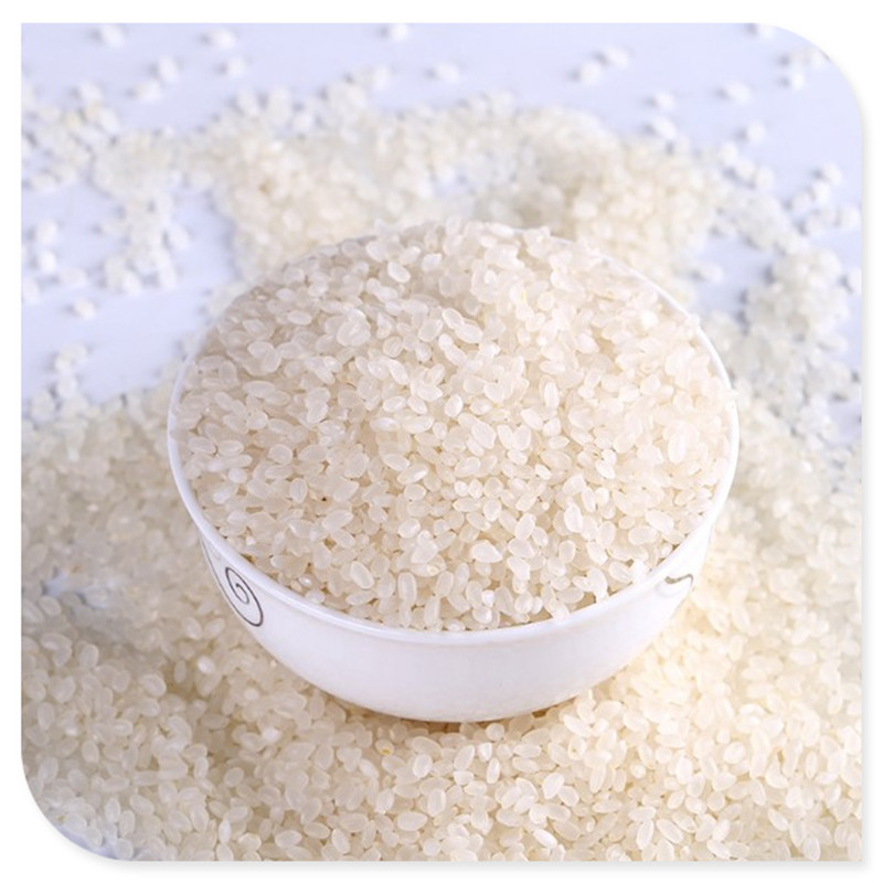 【新米上市】吉林查干湖大米圆粒香1号鲜香稻家真空包装10斤包邮