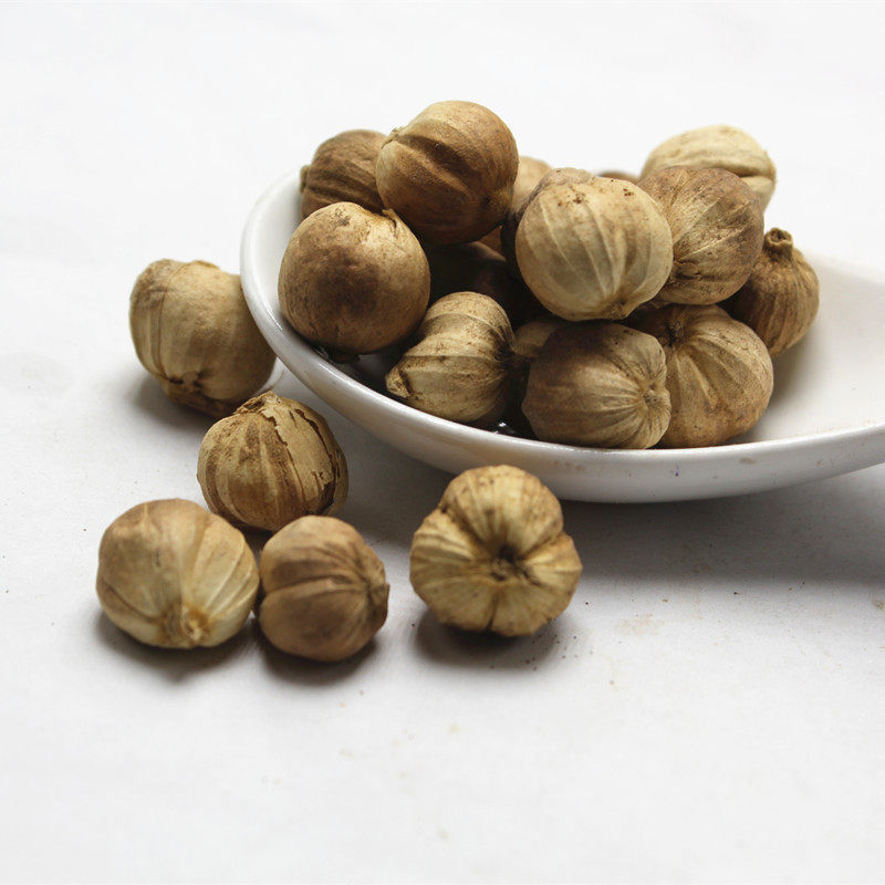 中药材白豆蔻豆蔻白寇仁白扣香果草蔻卤肉香料调料其他药食同源食品