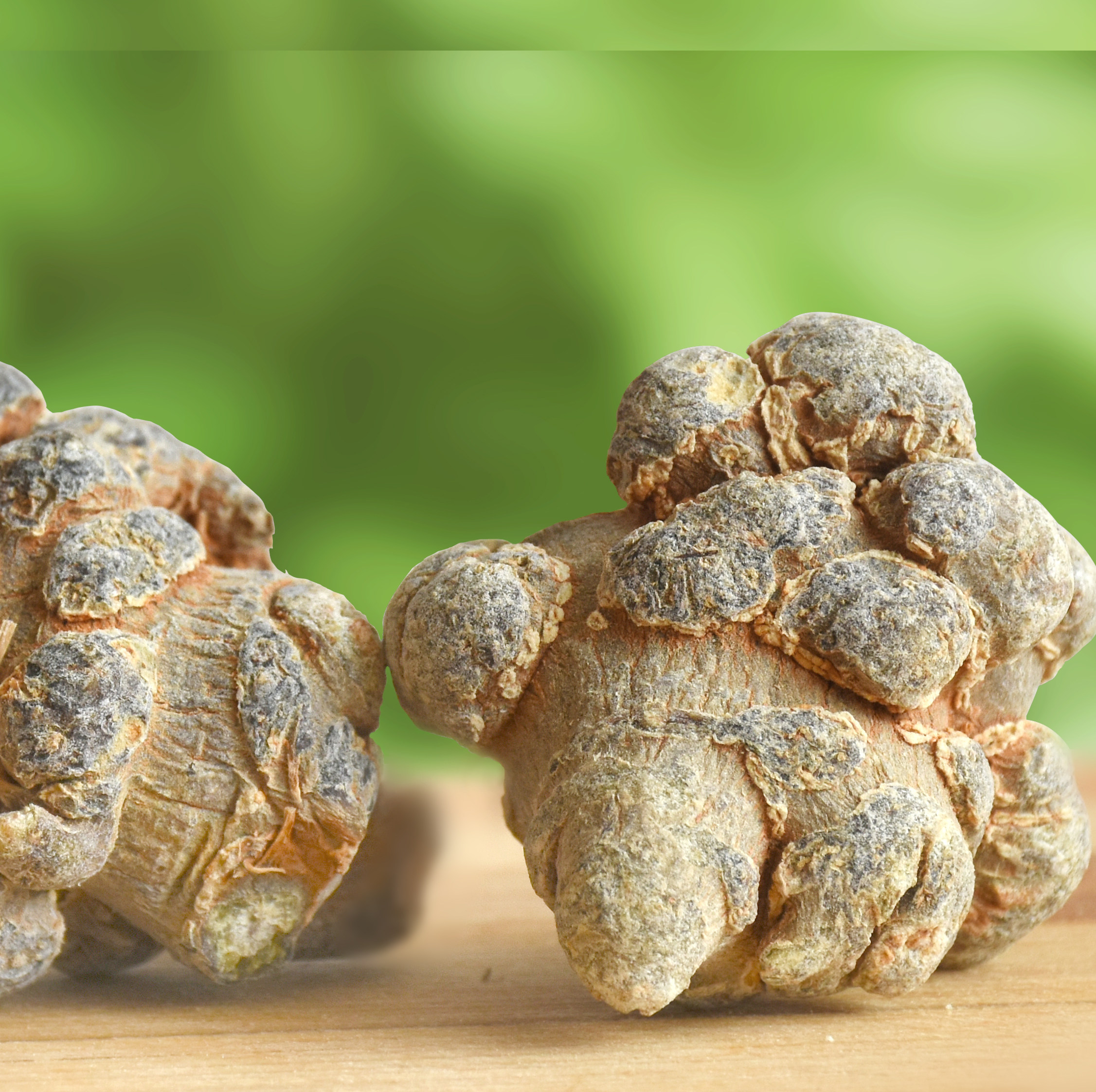 不带剪口云南文山三七18头500克三七