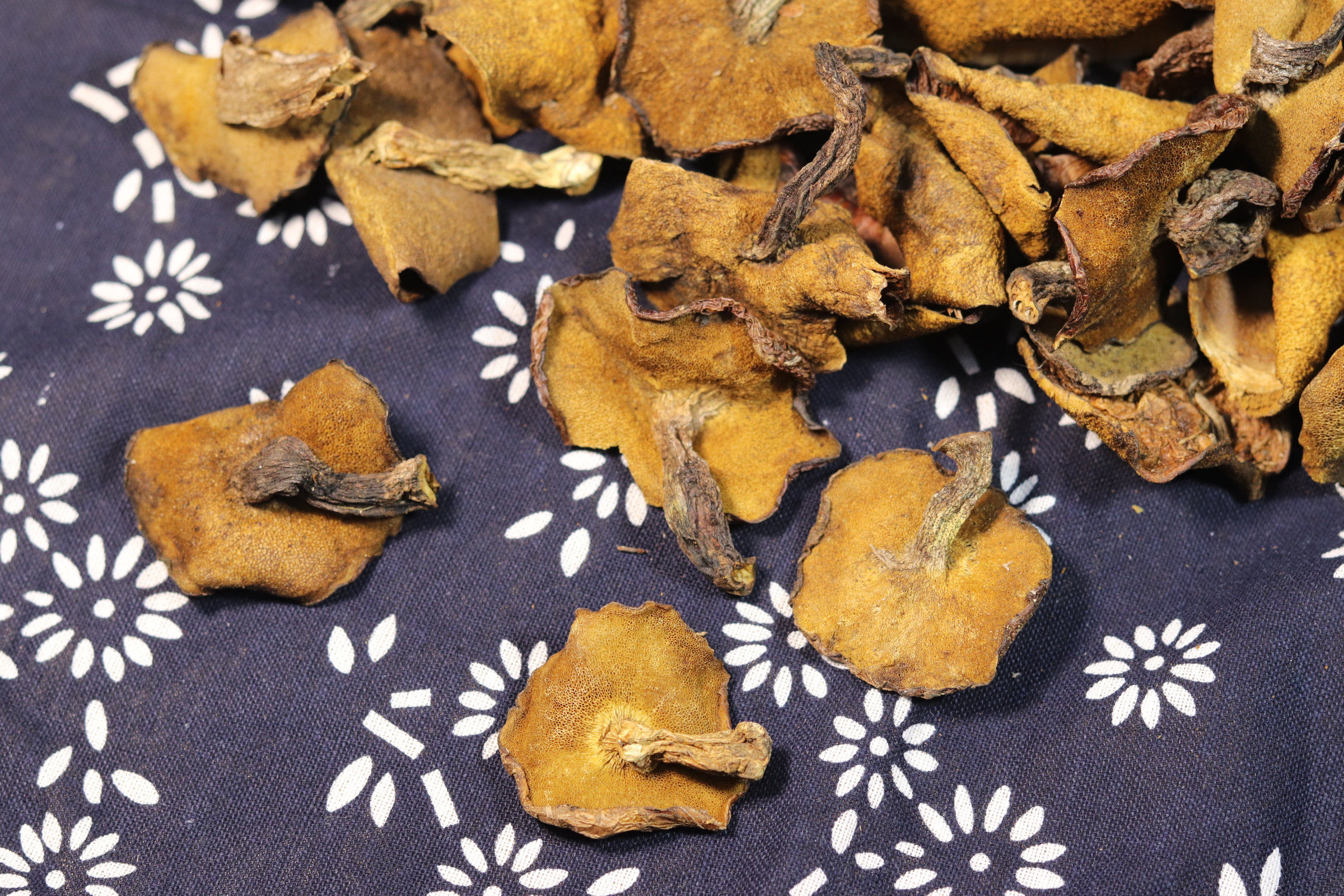 崂山野生蘑菇小鸡松蘑松菇酒店特色菜山东青岛香菇类