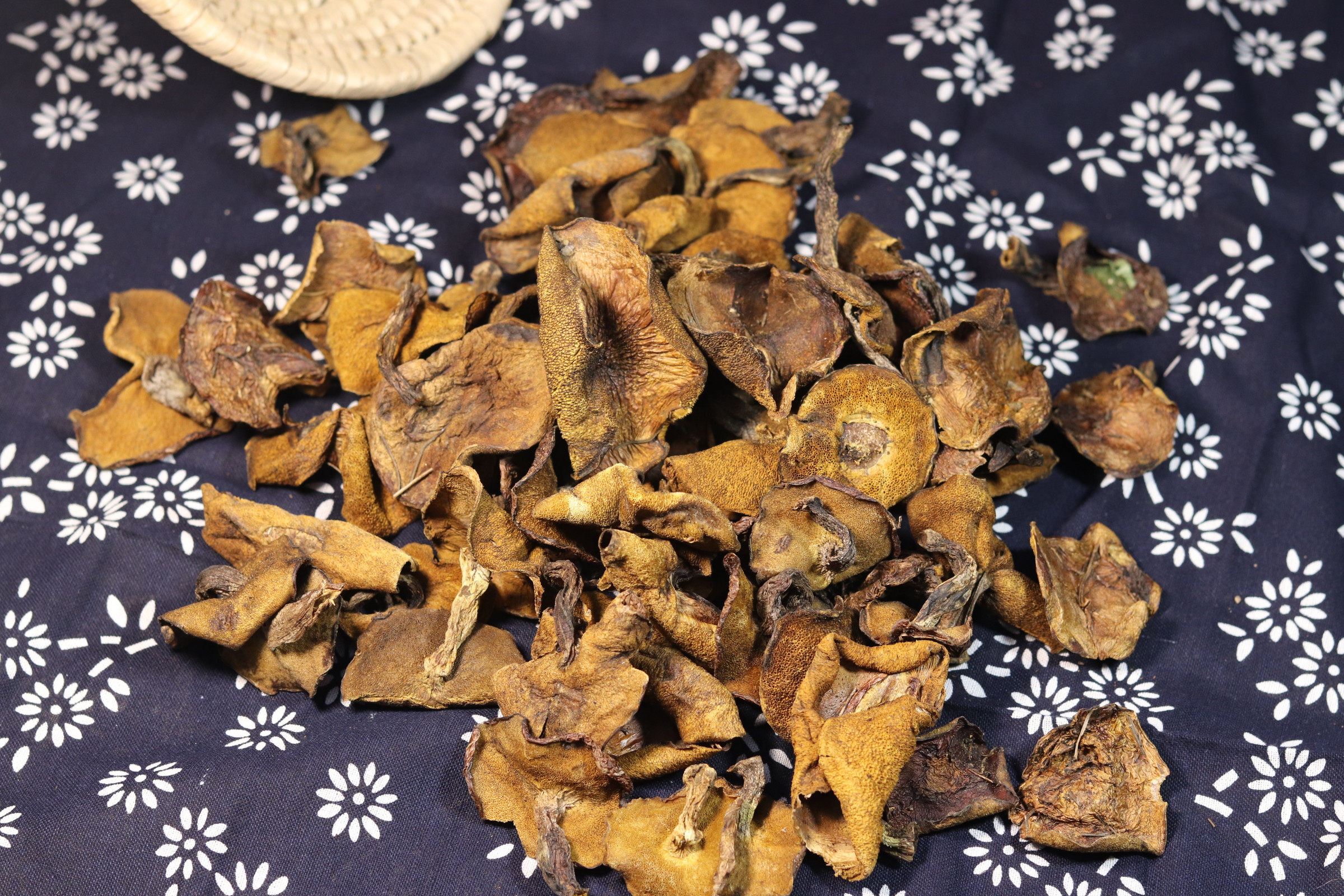 崂山野生蘑菇小鸡松蘑松菇酒店特色菜山东青岛香菇类