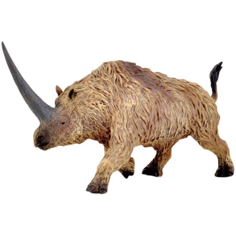 正品英国你他collecta板齿犀牛史前动物模型玩具仿真