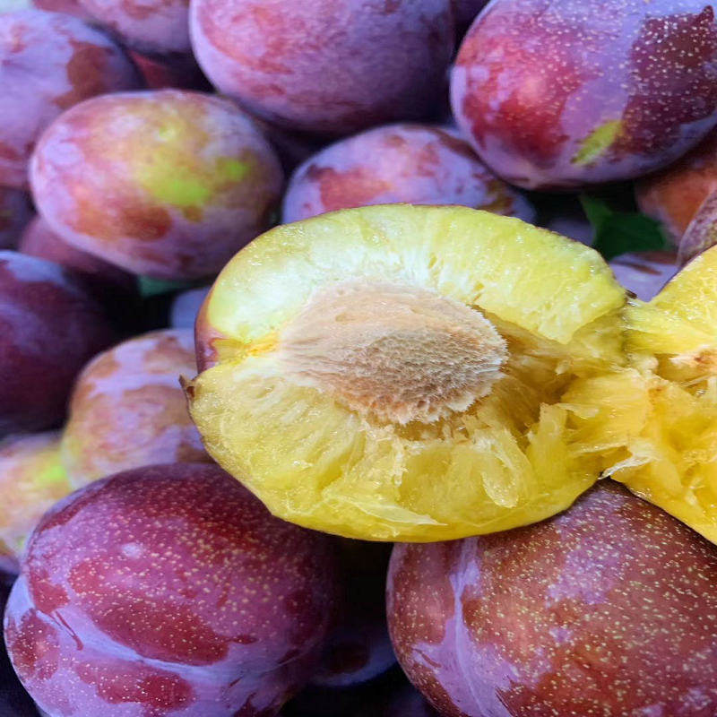 李子干核东北大红红袍干碗当季水果5斤装多省李子