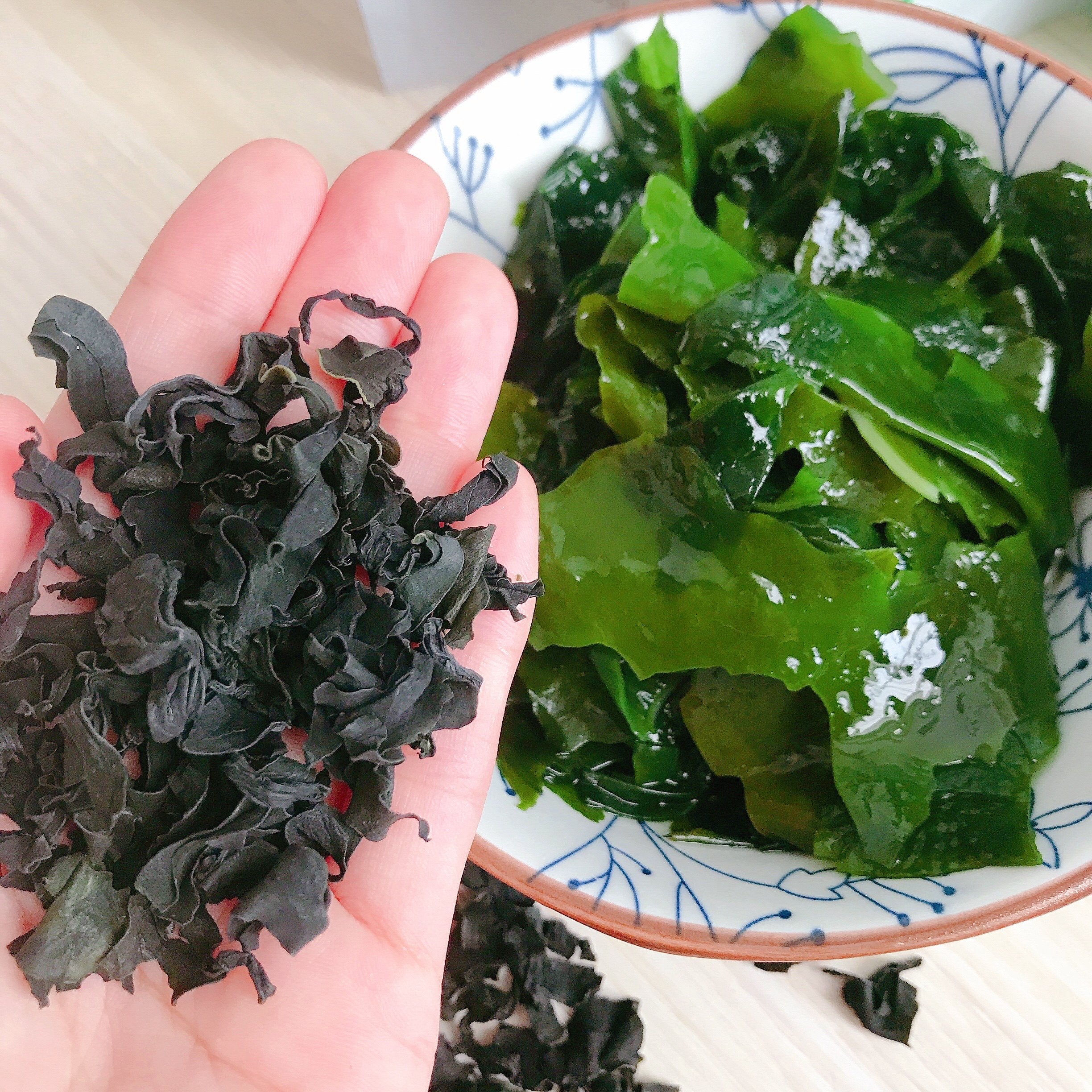 出海火锅细嫩菜鲜长寿食材优质凉拌高火锅结泡发海带