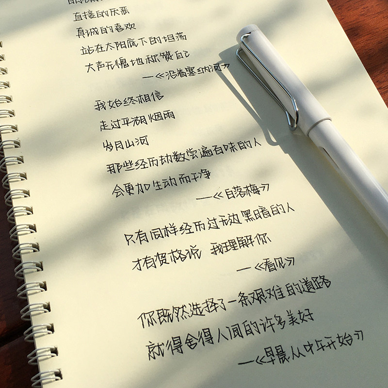 字体新奶酪网红学生网学生手写体漂亮文艺可爱女生练字帖