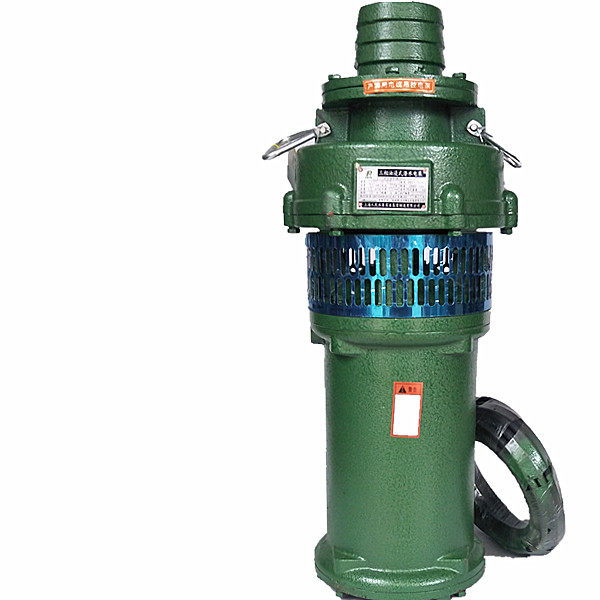 上海上海人人民油浸潜水泵qy65-10-3kw4农田流量池塘抽水水泵