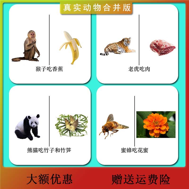 动物食物配对什么自闭症认知卡片儿童孤独症语言早教闪卡