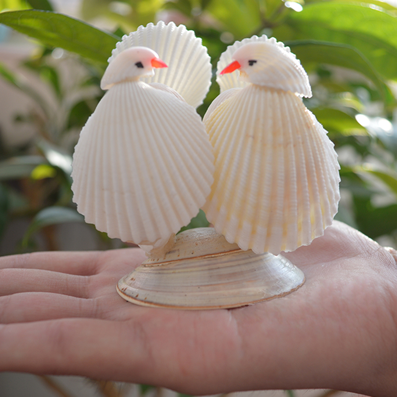 天然海螺贝壳爱情鸟摆件工艺品情侣礼物一对小鸟海螺