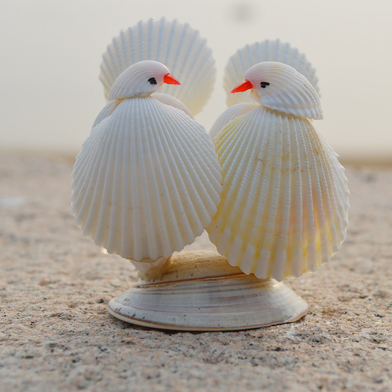 天然海螺贝壳爱情鸟摆件工艺品情侣礼物一对小鸟海螺
