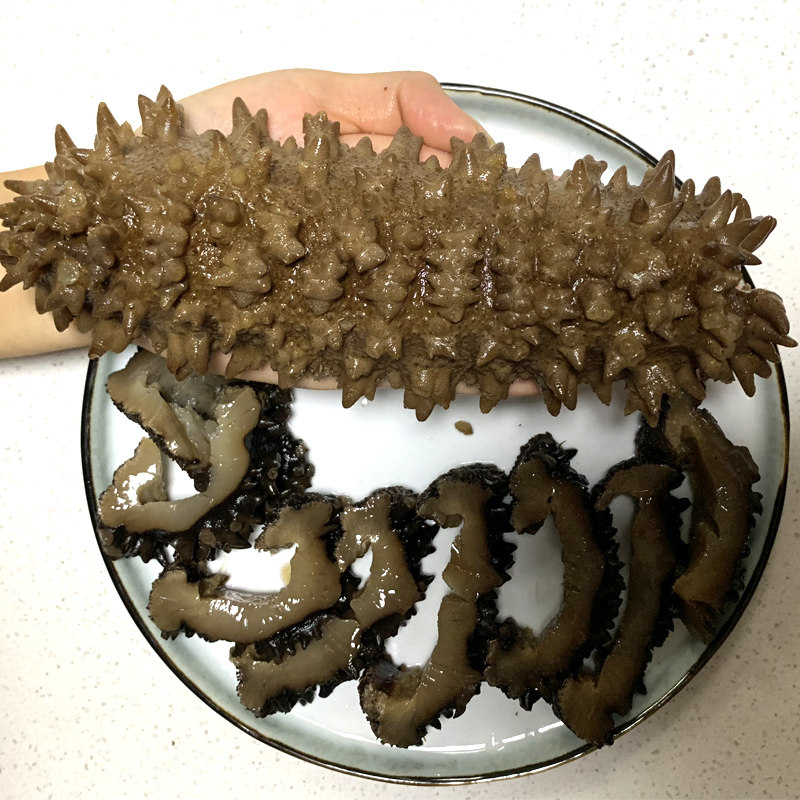 海参澳洲野生梅花进口干货深海刺参淡干500g海参