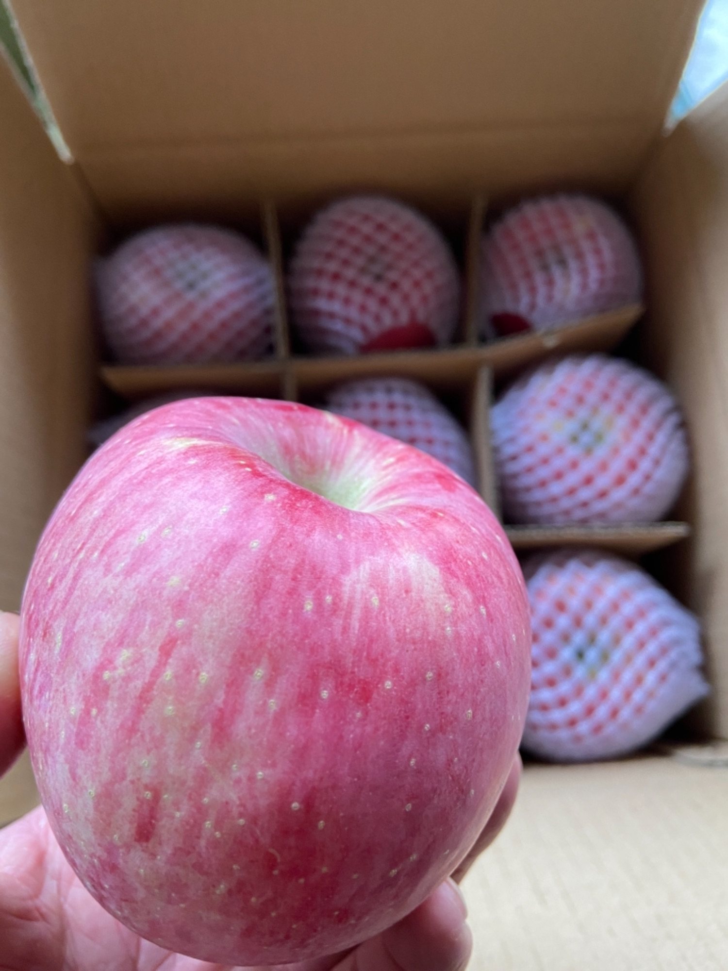 苹果水果耐斯果园吉县壶口新鲜红富士10斤装苹果