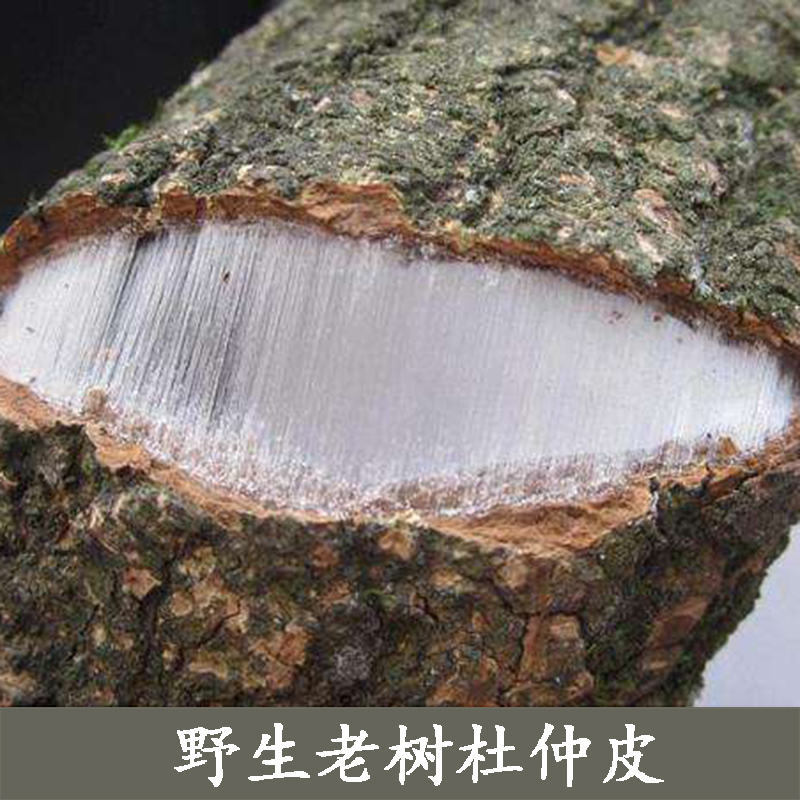 杜仲贵州中药材野生特级皮杜种树皮杜肿生杜中泡茶杜仲