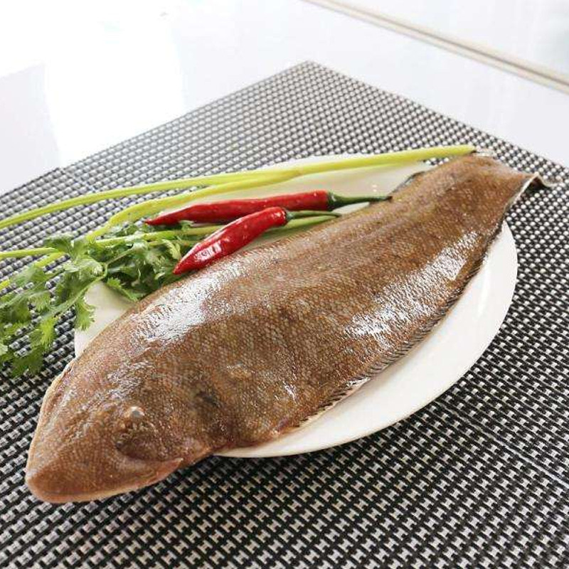 龙利宝宝海鲜东山岛踏板无刺鳎鱼鱼舌大舌头鲜活其它