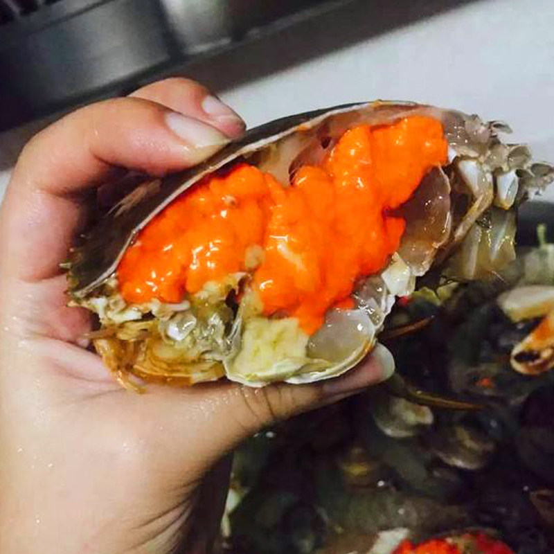 红鲟野生蟹青鲜活特大母蟹超大福建膏蟹锯缘青蟹