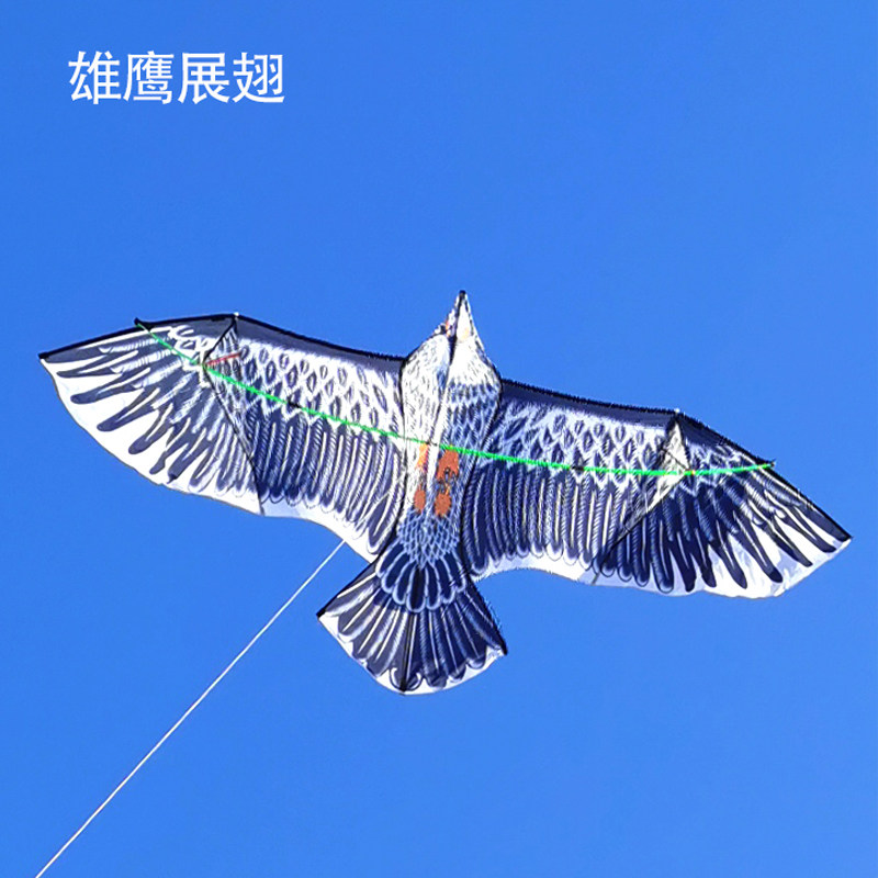 飞翔风筝传统大老老鹰雄鹰特大超大微风易飞风筝