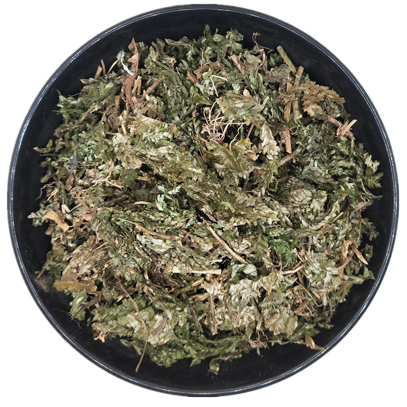 石上中药材500克地柏地侧侧柏金龙广西深绿卷柏其他药食同源食品