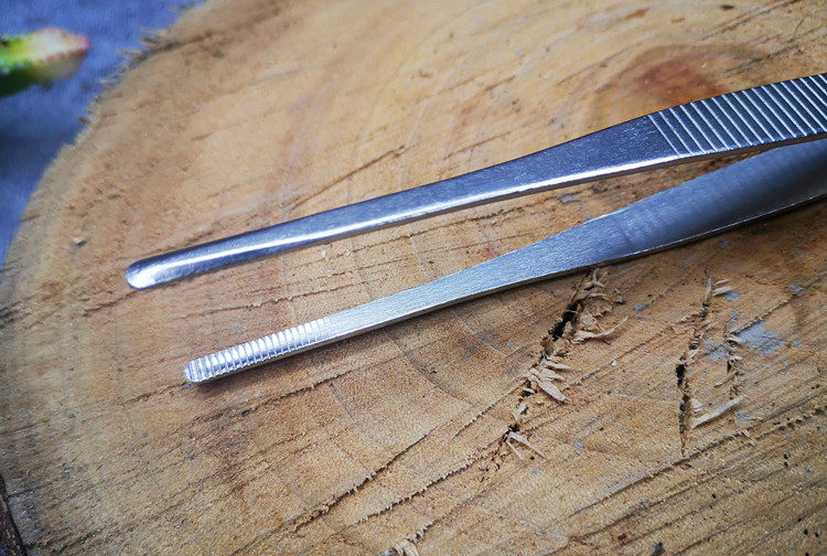 镊子不锈钢乌龟喂食头带齿大2030cm水草龟