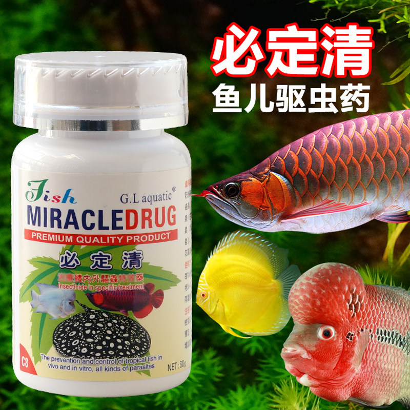 新必定清驱虫药观赏鱼药寄生虫防治疗魟龙鱼体内外头洞药水族包邮