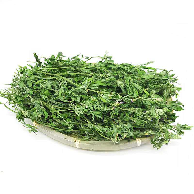 苜蓿草20年新草牧草干草箱装毛重1千克包邮全国兔兔干草