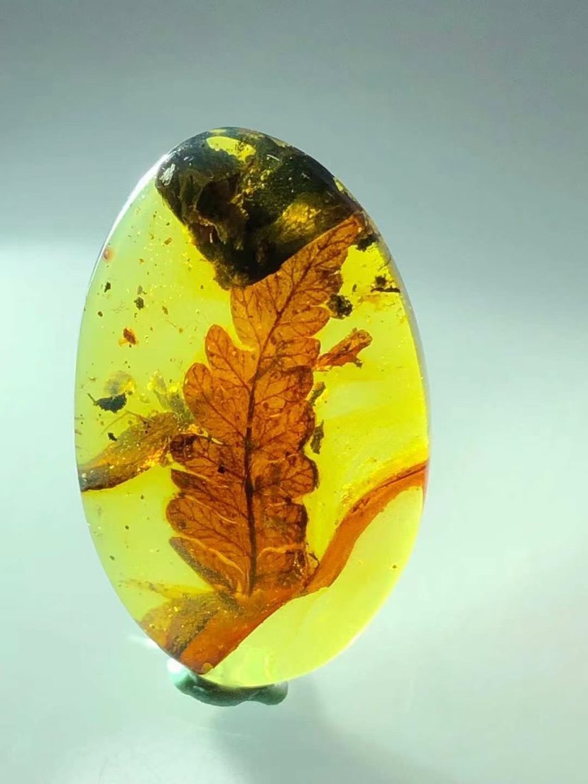 素缘缅甸天然虫珀吊坠0821琥珀植物红叶标本其他