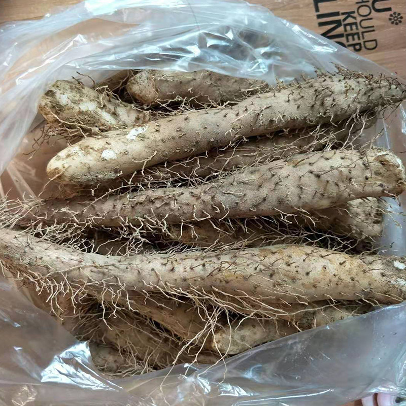 潮汕汤小吃一斤山药小吃作甜姜茨粉糯姜薯新鲜新鲜山药